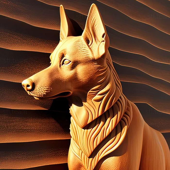 3D модель Австралийская собака келпи (STL)